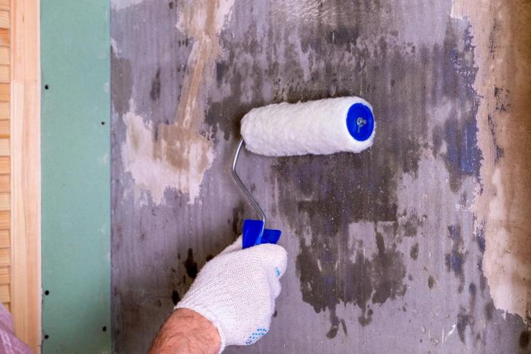 Quelle peinture intérieure choisir à Bruay-la-Buissière ?